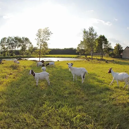 Ξενοδοχείο Horni Dvur