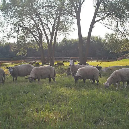 Horni Dvur Ξενοδοχείο 4*