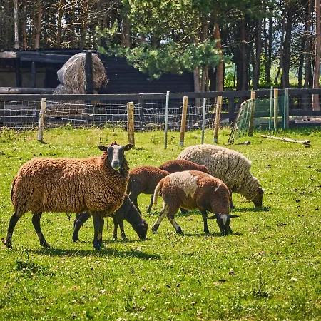 Ξενοδοχείο Horni Dvur