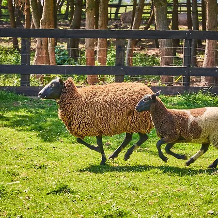 Ξενοδοχείο Horni Dvur Nove Mesto na Morave