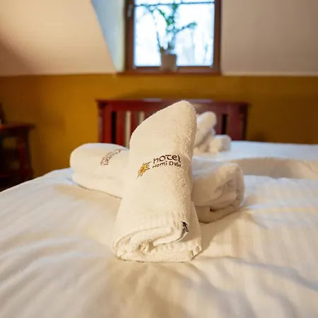 Horní Dvůr Nove Mesto na Morave