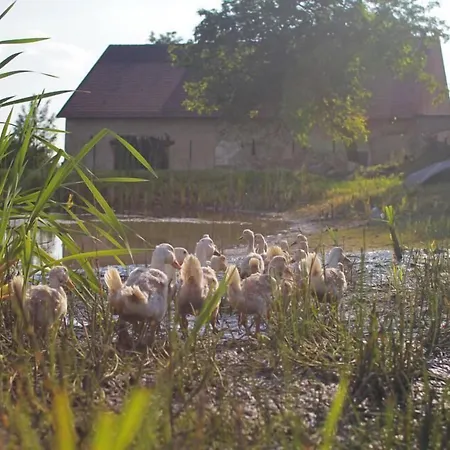 Horni Dvur Ξενοδοχείο 4*