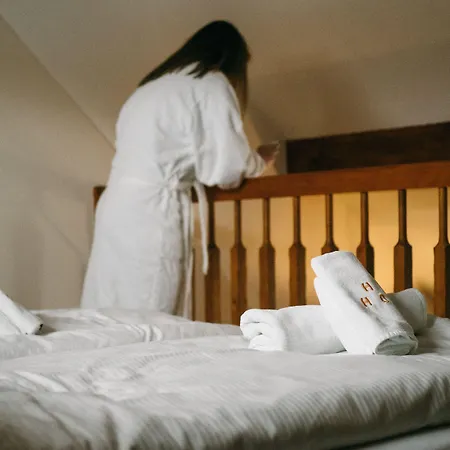 Horni Dvur Ξενοδοχείο Nove Mesto na Morave