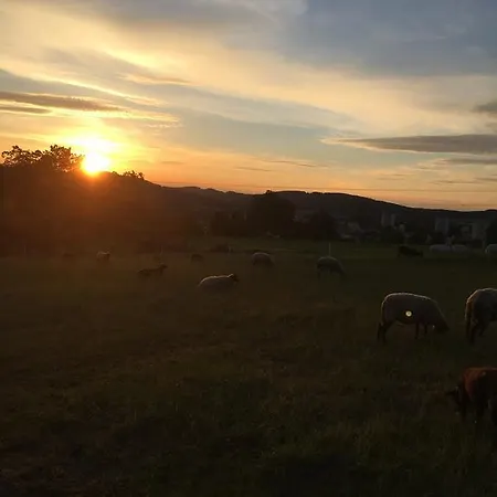 Horni Dvur Ξενοδοχείο