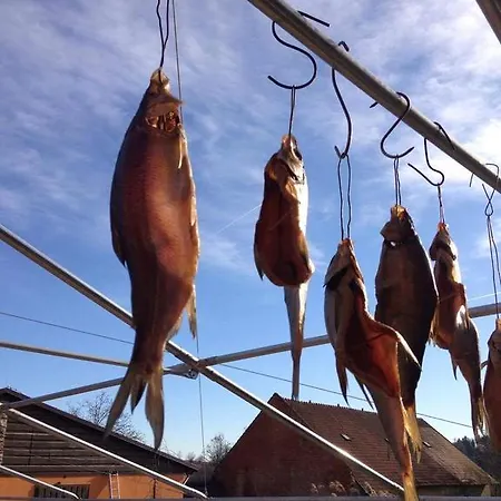 Horni Dvur Ξενοδοχείο Nove Mesto na Morave