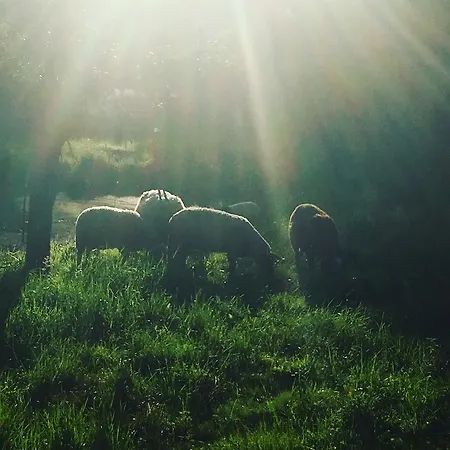 Ξενοδοχείο Horni Dvur 4*