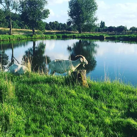 Horni Dvur Nove Mesto na Morave