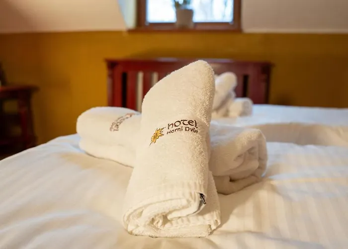 Horni Dvur Nove Mesto na Morave